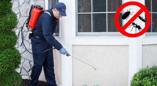Kırıkhan Fare İlaçlama böcek ilaçlama ve haşere kontrolü — ilaclama-tr.com